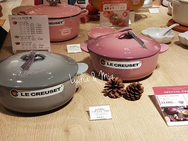 15-11-15-11-36-24-315_deco.jpg 15-11-15-11-36-24-315_deco.jpg