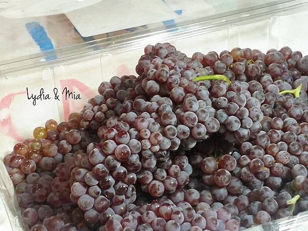 17-07-25-08-22-03-614_deco.jpg 17-07-25-08-22-03-614_deco.jpg