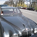 Copenhagen _ 哥本哈根的路上超級多Jaguar 的車