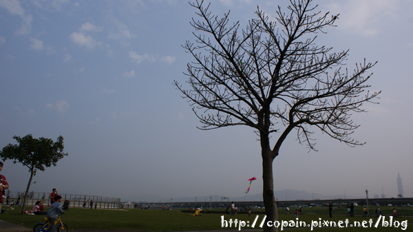 2*22河濱公園