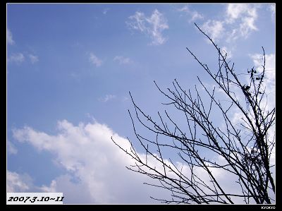 武陵の風景