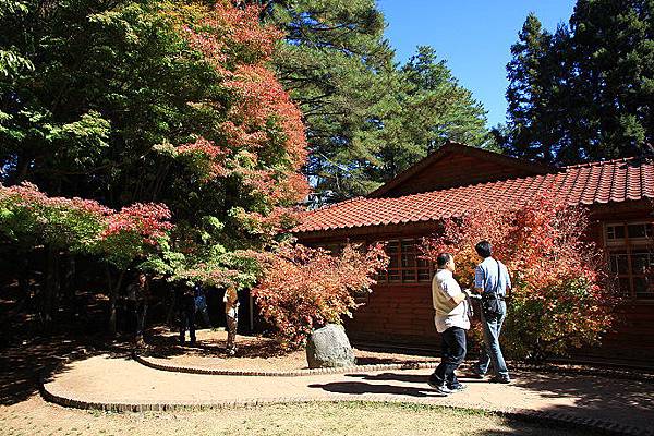 福壽山農場-松廬