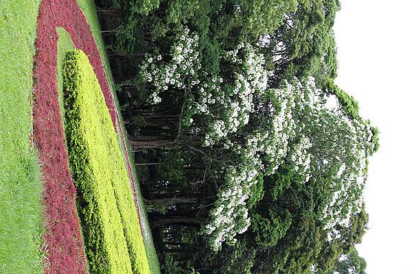 西湖渡假村