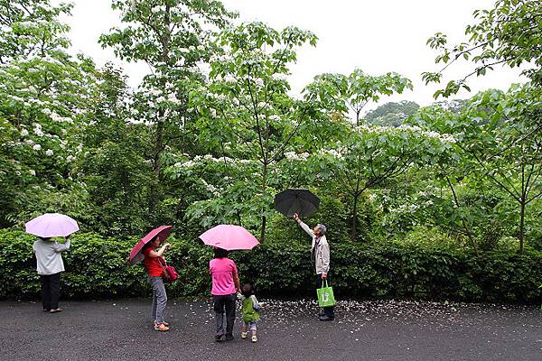 西湖渡假村