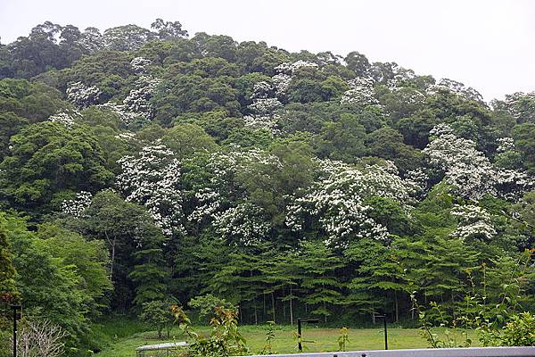 西湖渡假村