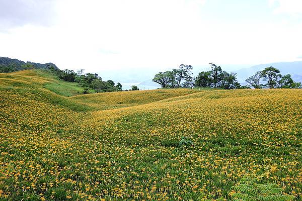 赤科山