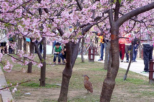 新竹公園