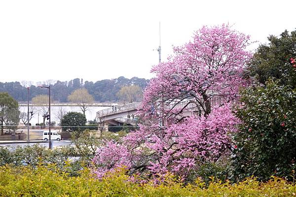 偕樂園