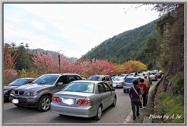 武陵農場