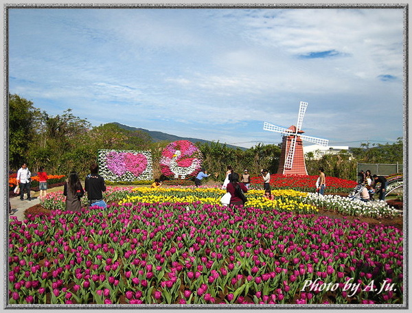 中社觀光花市