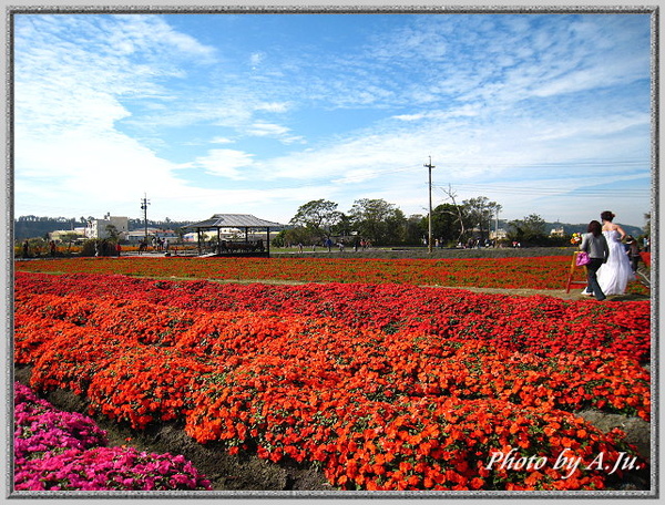 中社觀光花市