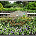 九重花公園02.jpg