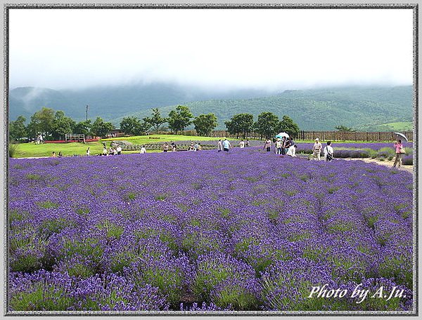 九重花公園40.jpg