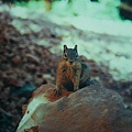 UT, Bryce Canyon National Park 