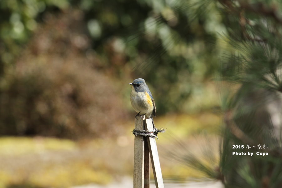 IMG_6757.JPG IMG_6757.JPG