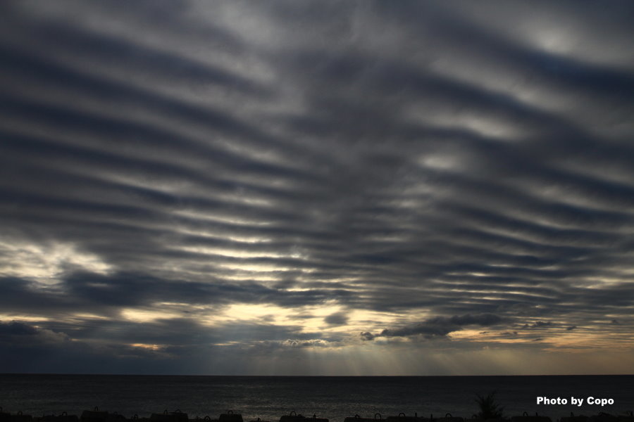 IMG_1135.JPG IMG_1135.JPG