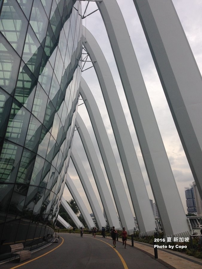 IMG_1894.JPG IMG_1894.JPG