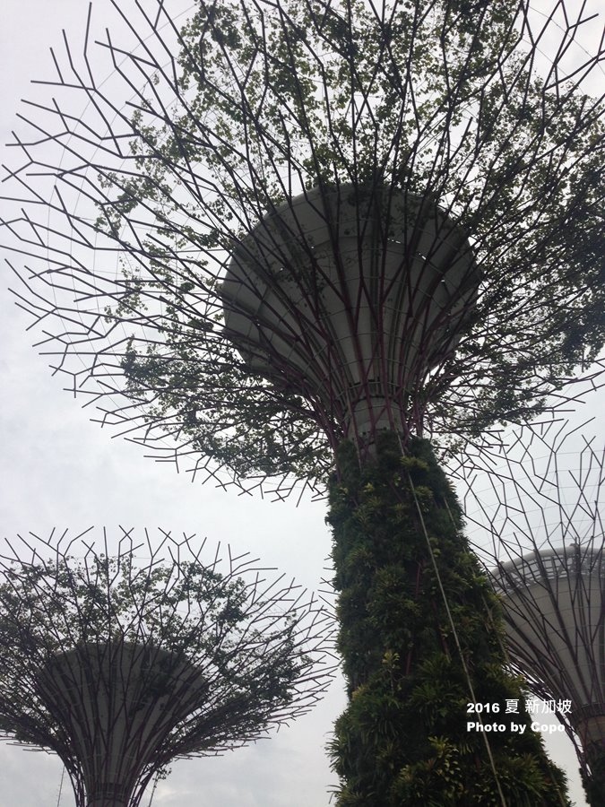 IMG_1897.JPG IMG_1897.JPG