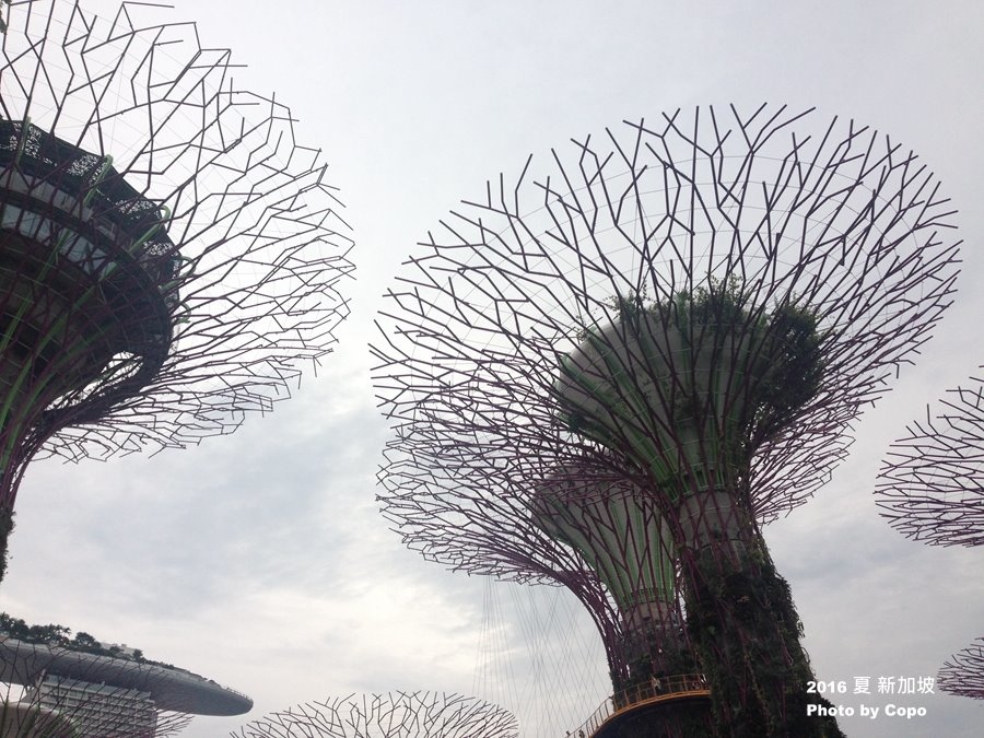 IMG_1900.JPG IMG_1900.JPG