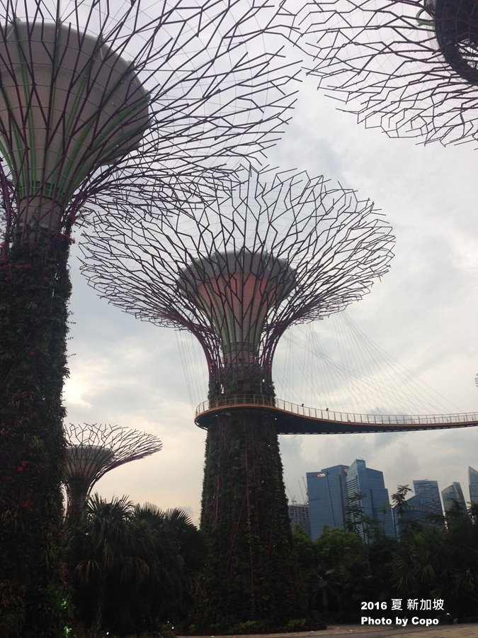 IMG_1902.JPG IMG_1902.JPG