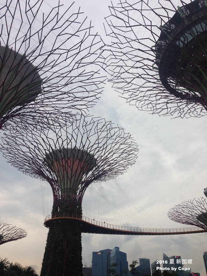 IMG_1903.JPG IMG_1903.JPG