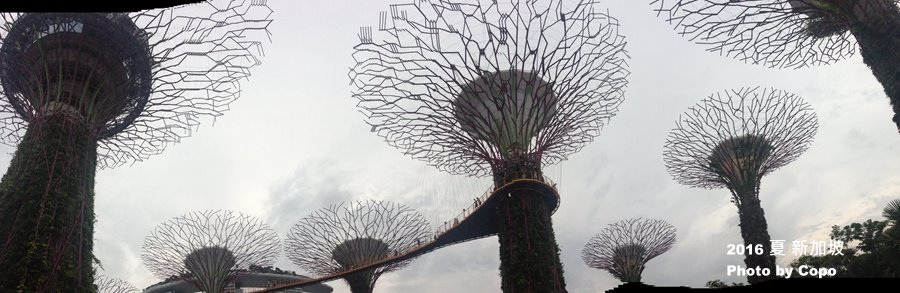 IMG_1906.JPG IMG_1906.JPG