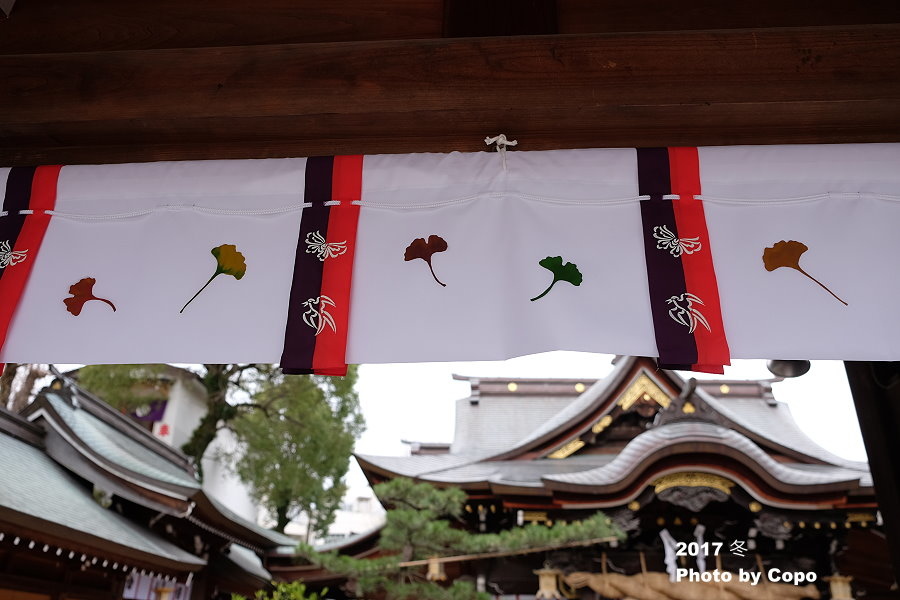 DSCF2032.JPG DSCF2032.JPG