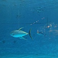 DSC00766.jpg