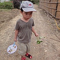 DSC02914.jpg