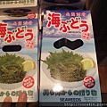DSC03599.jpg