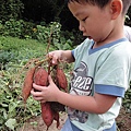 DSC07876.jpg
