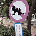 DSC00696.jpg