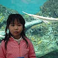 DSC00725.jpg