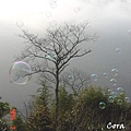 霧