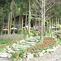 蘿菈