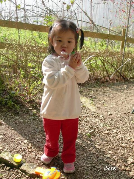 吹泡泡２