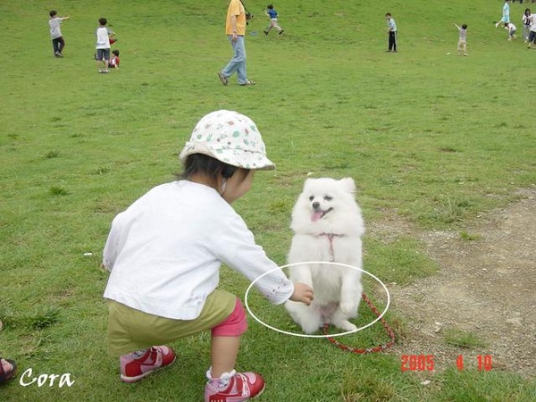 握握手