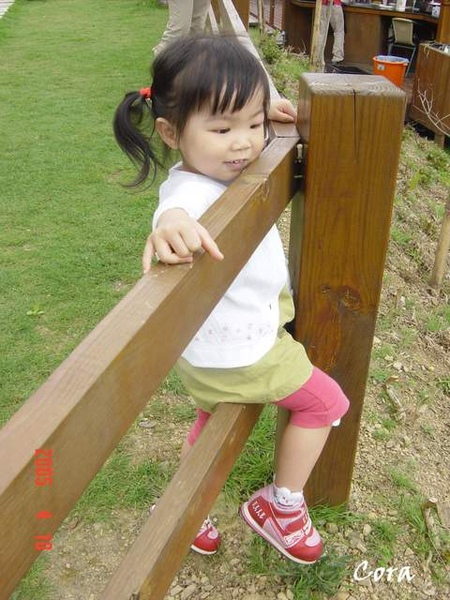 再爬欄杆