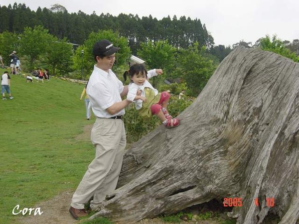 爬樹