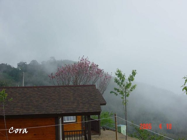 阿貴露營區旁的小木屋
