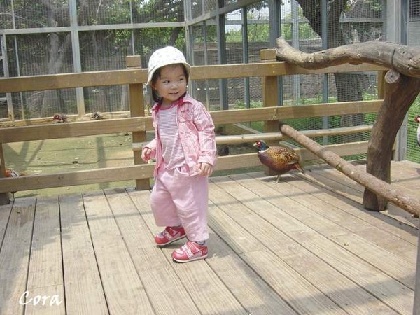 新竹動物園１