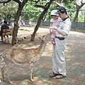 新竹動物園５