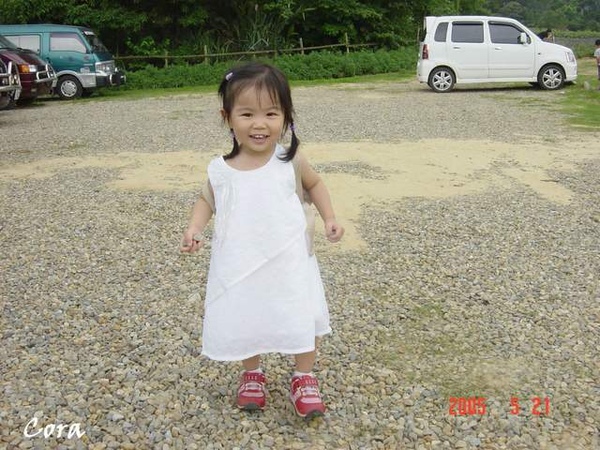 富田農場－撿石頭