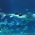 DSC00803.jpg