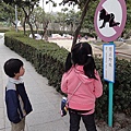 DSC00695.jpg