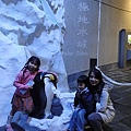 DSC00740.jpg