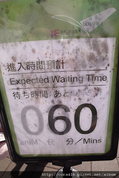 DSC01243.jpg