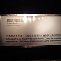 DSC00763.jpg