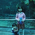 DSC00790.jpg