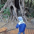 DSC00852.jpg
